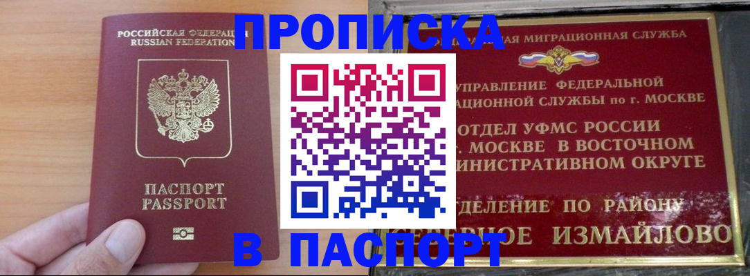 прописка в Кингисеппе